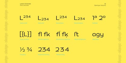 Larieno Font Poster 12