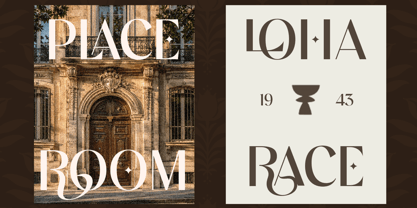 Volkrome Font Poster 6