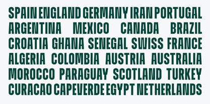 ZIA Worldera Font Poster 4