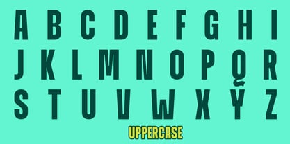 ZIA Worldera Font Poster 7