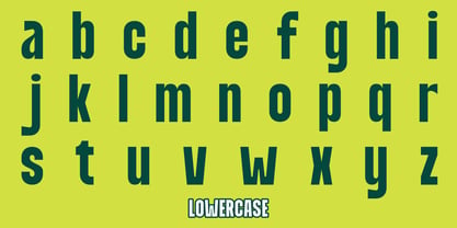 ZIA Worldera Font Poster 8