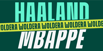 ZIA Worldera Font Poster 2
