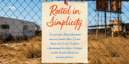 Articullare Font Poster 12