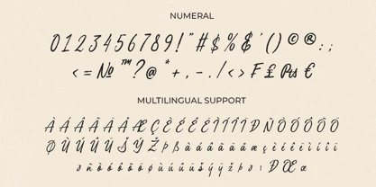 Articullare Font Poster 7