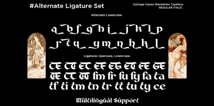 Catingal Font Poster 12