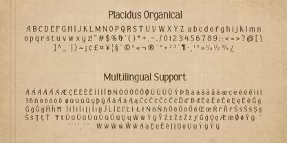 Placidus Notesho Font Poster 7