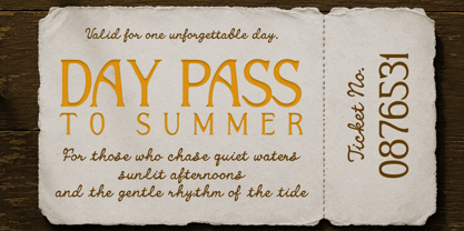 Placidus Notesho Font Poster 5