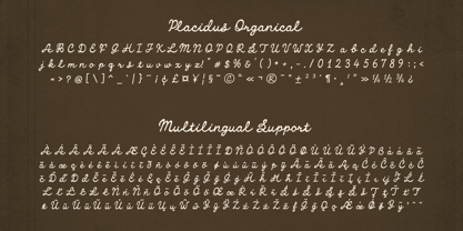 Placidus Notesho Font Poster 8
