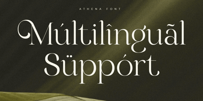 Almari Font Poster 11