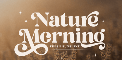 Breluna Font Poster 6