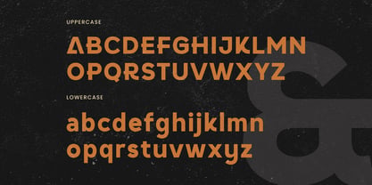 Camfen Font Poster 13