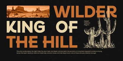 Camfen Font Poster 8