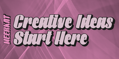 Meerkat Font Poster 6