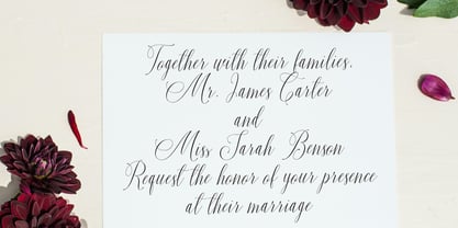Callisse Font Poster 6