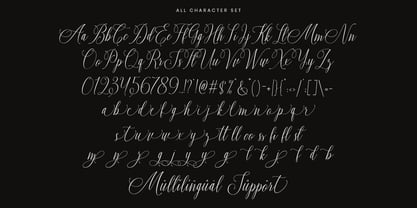 Callisse Font Poster 9