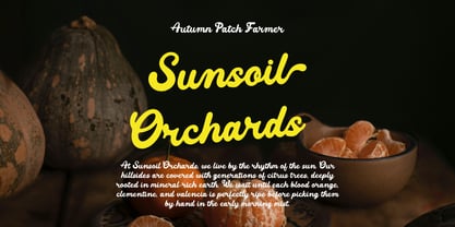 Cherished Darling Font Poster 5