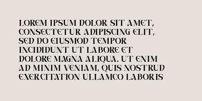 Caelvin Font Poster 8