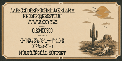 Western Vintage Font Poster 10