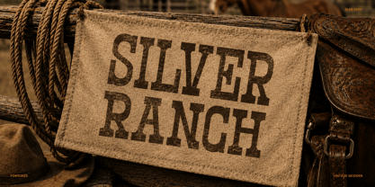 Western Vintage Font Poster 4
