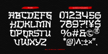 The Last Shuriken Rough Font Poster 13