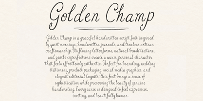 Very Nice Flavor Font Poster 5