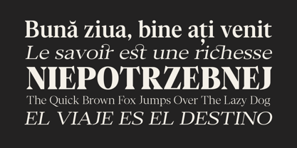 Chipno Font Poster 12