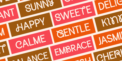 Bomera Experience Font Poster 7