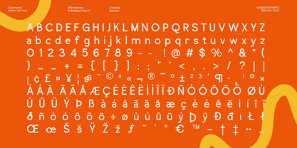 Bomera Experience Font Poster 9