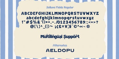 Jollune Fields Font Poster 7