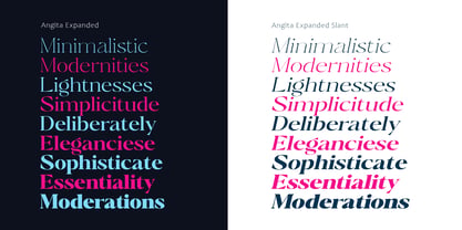 Angita Font Poster 13