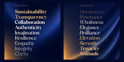 Angita Font Poster 11