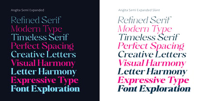 Angita Font Poster 15