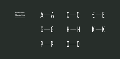 Freigel Font Poster 6