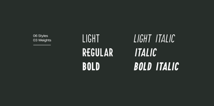 Freigel Font Poster 10