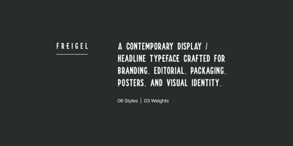 Freigel Font Poster 8