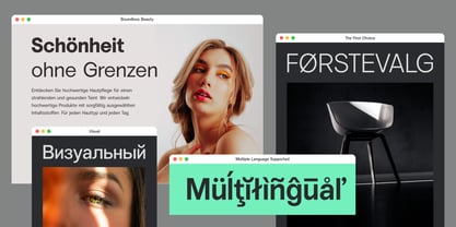 Vontica Sans Font Poster 2