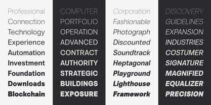 Vontica Sans Font Poster 8