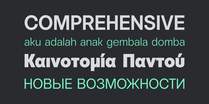 Vontica Sans Font Poster 3