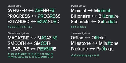 Vontica Sans Font Poster 14
