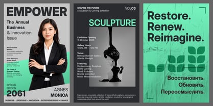 Vontica Sans Font Poster 10