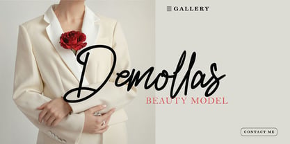 Qalistine signature Font Poster 2