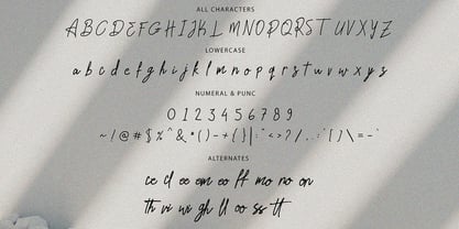 Qalistine signature Font Poster 6