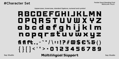 Fesibel Font Poster 10