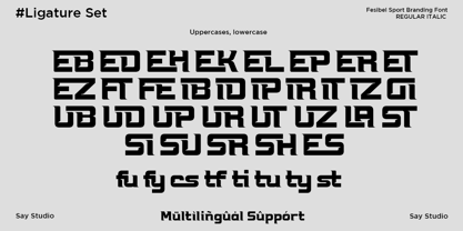 Fesibel Font Poster 11