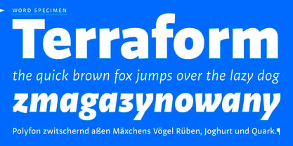 Shelf Font Poster 9
