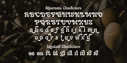 Paradisea Font Poster 8