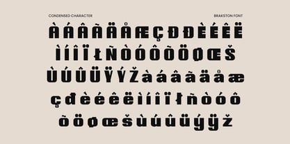 Brakston Font Poster 6