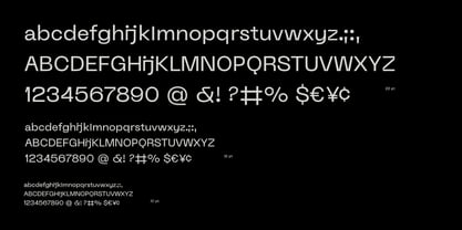 ID Clarwe Mono Font Poster 4