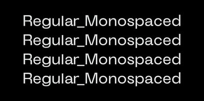 ID Clarwe Mono Font Poster 2