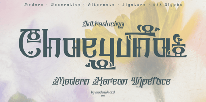 Chaeyuna Font Poster 1